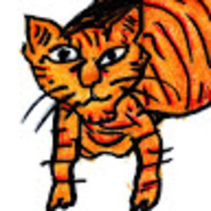 Meet your Posher, Shane